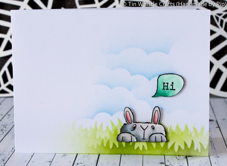 Hi Bunny-1